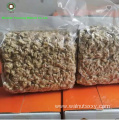 High quality Walnut Kernels Light color Halves